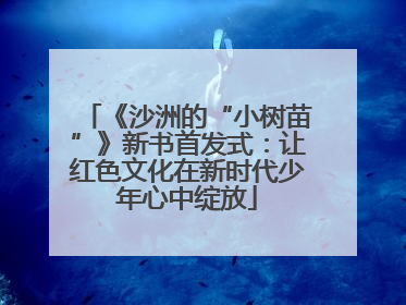 《沙洲的“小树苗”》新书首发式：让红色文化在新时代少年心中绽放