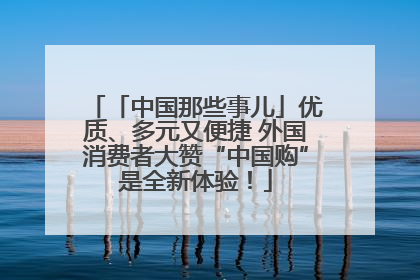 「中国那些事儿」优质、多元又便捷 外国消费者大赞“中国购”是全新体验！