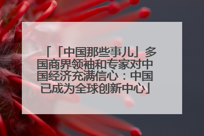 「中国那些事儿」多国商界领袖和专家对中国经济充满信心：中国已成为全球创新中心