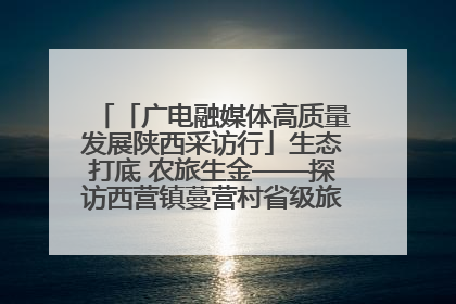 「广电融媒体高质量发展陕西采访行」生态打底 农旅生金——探访西营镇蔓营村省级旅游示范村的振兴密码