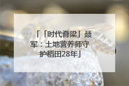 「时代脊梁」聂军：土地营养师守护稻田28年