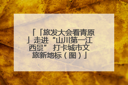 「旅发大会看青原」走进“山川第一江西景” 打卡城市文旅新地标（图）