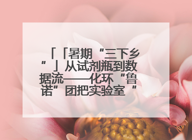 「暑期“三下乡”」从试剂瓶到数据流——化环“鲁诺”团把实验室“搬”回家乡，点亮桑梓求知路