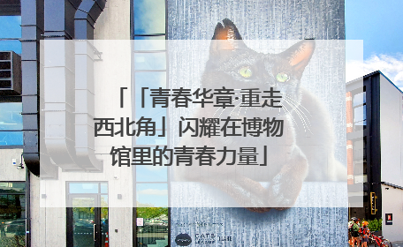 「青春华章·重走西北角」闪耀在博物馆里的青春力量
