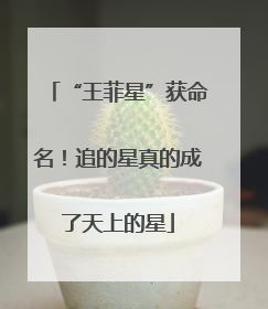 “王菲星”获命名！追的星真的成了天上的星
