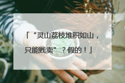 “灵山荔枝堆积如山，只能贱卖”？假的！