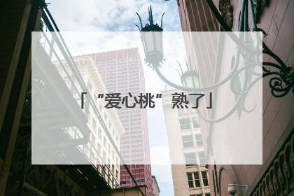 “爱心桃”熟了