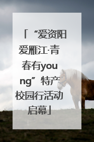 “爱资阳爱雁江·青春有young”特产校园行活动启幕