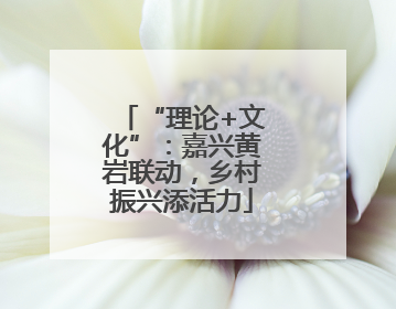 “理论+文化”：嘉兴黄岩联动，乡村振兴添活力