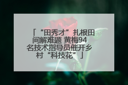 “田秀才”扎根田间解难题 黄梅94名技术指导员催开乡村“科技花”