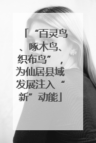 “百灵鸟、啄木鸟、织布鸟”，为仙居县域发展注入“新”动能