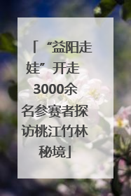 “益阳走娃”开走 3000余名参赛者探访桃江竹林秘境