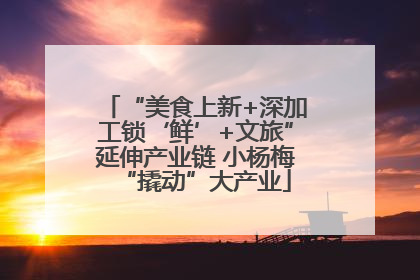 “美食上新+深加工锁‘鲜’+文旅”延伸产业链 小杨梅“撬动”大产业