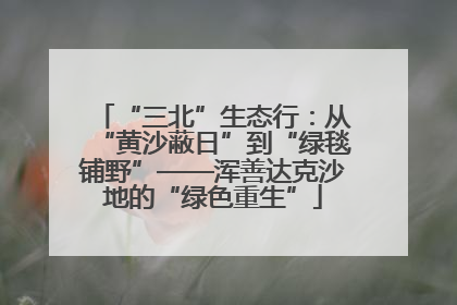 “三北”生态行：从“黄沙蔽日”到“绿毯铺野”——浑善达克沙地的“绿色重生”
