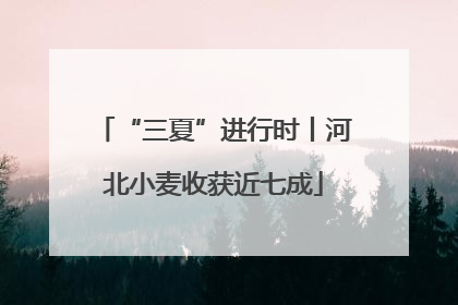 “三夏”进行时丨河北小麦收获近七成