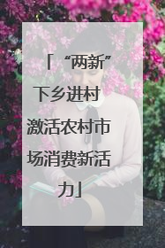 “两新”下乡进村 激活农村市场消费新活力