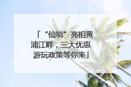 “仙境”亮相黄浦江畔，三大优惠游玩政策等你来