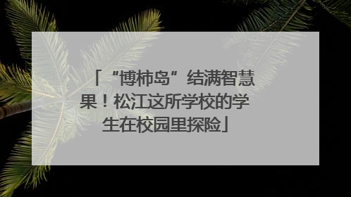“博柿岛”结满智慧果！松江这所学校的学生在校园里探险