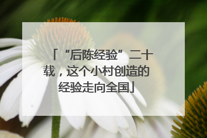 “后陈经验”二十载，这个小村创造的经验走向全国