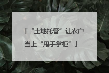 “土地托管”让农户当上“甩手掌柜”