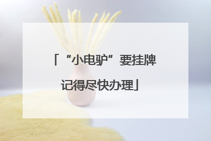 “小电驴”要挂牌 记得尽快办理
