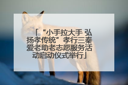 “小手拉大手 弘扬孝传统”孝行三秦爱老助老志愿服务活动启动仪式举行