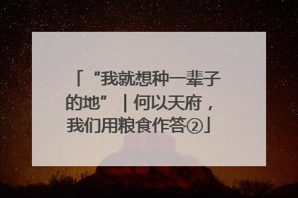 “我就想种一辈子的地”｜何以天府，我们用粮食作答②