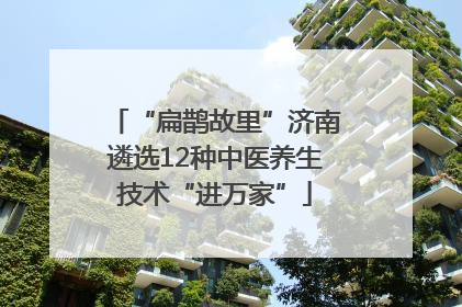 “扁鹊故里”济南遴选12种中医养生技术“进万家”