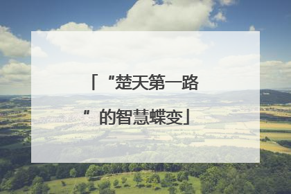 “楚天第一路”的智慧蝶变