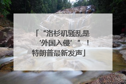 “洛杉矶骚乱是‘外国入侵’”！特朗普最新发声