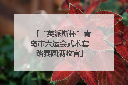“英派斯杯”青岛市六运会武术套路赛圆满收官