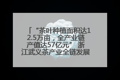 “茶叶种植面积达12.5万亩，全产业链产值达57亿元” 浙江武义茶产业全链发展“加速度”