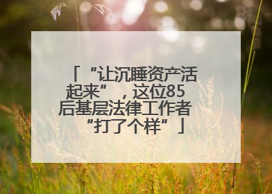 “让沉睡资产活起来”，这位85后基层法律工作者“打了个样”