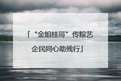 “金姐桂哥”传粽艺 企民同心助残行