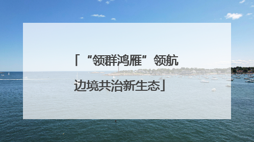 “领群鸿雁”领航边境共治新生态