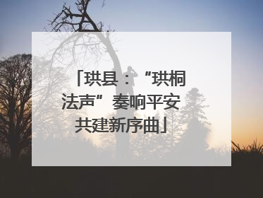 珙县：“珙桐法声”奏响平安共建新序曲