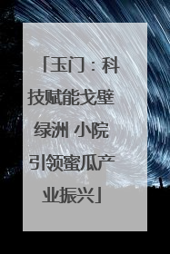 玉门：科技赋能戈壁绿洲 小院引领蜜瓜产业振兴