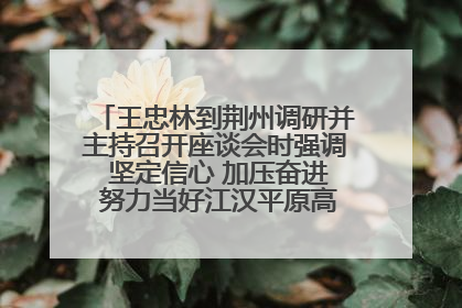 王忠林到荆州调研并主持召开座谈会时强调 坚定信心 加压奋进 努力当好江汉平原高质量发展排头兵