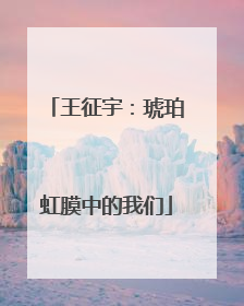 王征宇：琥珀虹膜中的我们