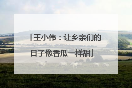 王小伟：让乡亲们的日子像香瓜一样甜