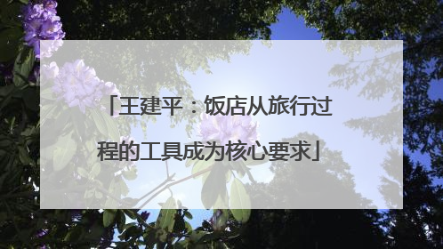 王建平：饭店从旅行过程的工具成为核心要求