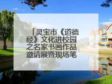 灵宝市《道德经》文化进校园之名家书画作品邀请展暨现场笔会活动举行