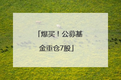 爆买！公募基金重仓7股