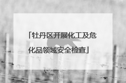 牡丹区开展化工及危化品领域安全检查