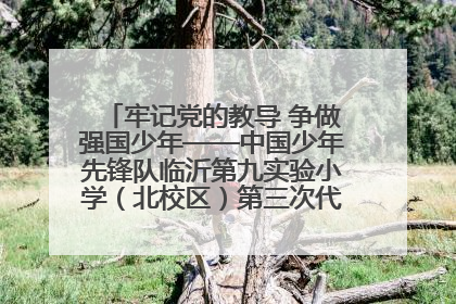 牢记党的教导 争做强国少年——中国少年先锋队临沂第九实验小学（北校区）第三次代表大会胜利召开