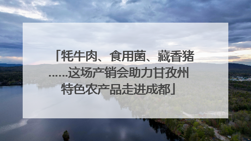 牦牛肉、食用菌、藏香猪……这场产销会助力甘孜州特色农产品走进成都
