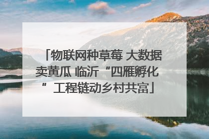 物联网种草莓 大数据卖黄瓜 临沂“四雁孵化”工程链动乡村共富