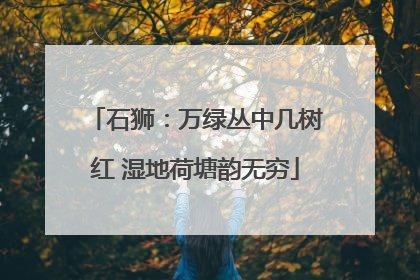 石狮：万绿丛中几树红 湿地荷塘韵无穷