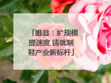 睢县：扩规模提速度 铸就制鞋产业新标杆