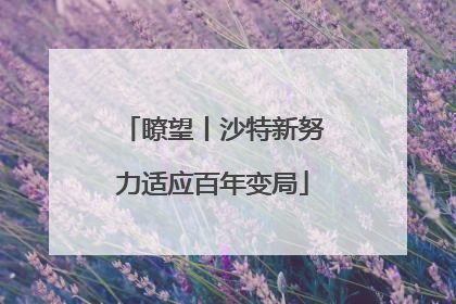 瞭望丨沙特新努力适应百年变局